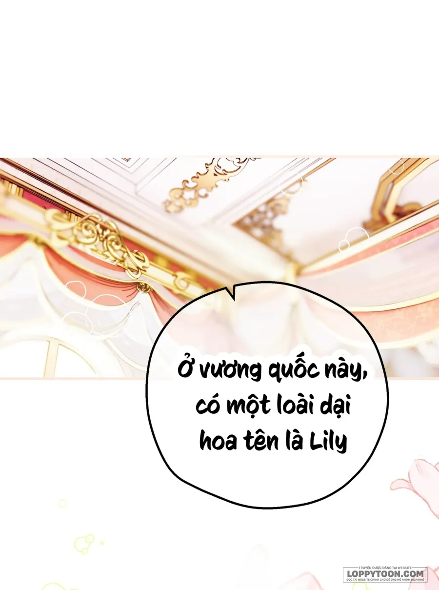 Nàng Sẽ Thuần Phục Những Anh Hùng - Chap 7 - Trang 16