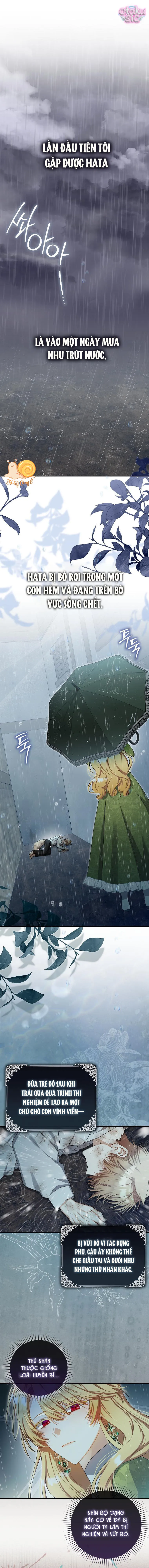 Nàng Tiên Bé Con Là Nhân Vật Phản Diện - Chap 13 - Trang 1