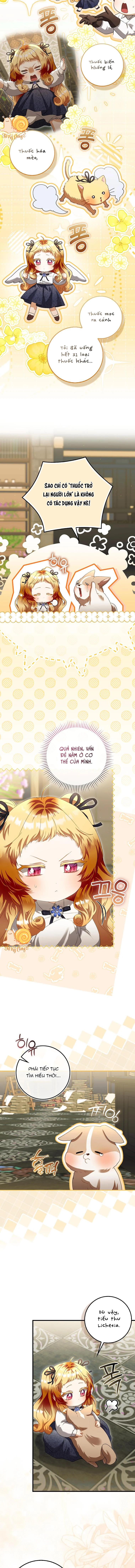 Nàng Tiên Bé Con Là Nhân Vật Phản Diện - Chap 48 - Trang 11