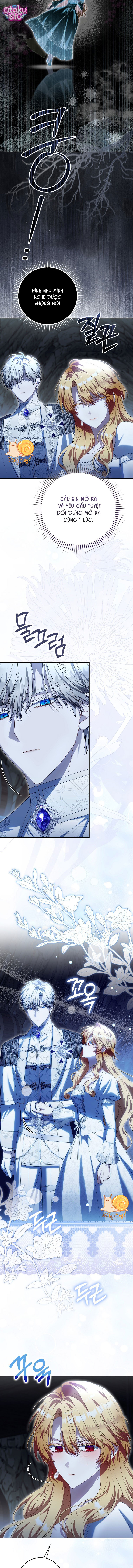 Nàng Tiên Bé Con Là Nhân Vật Phản Diện - Chap 62 - Trang 14