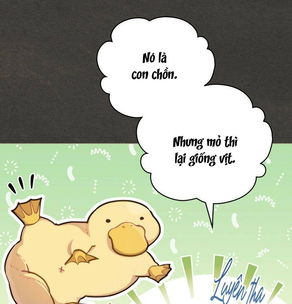 Nếu Không Vâng Lời Công Tước - Chap 18 - Trang 21