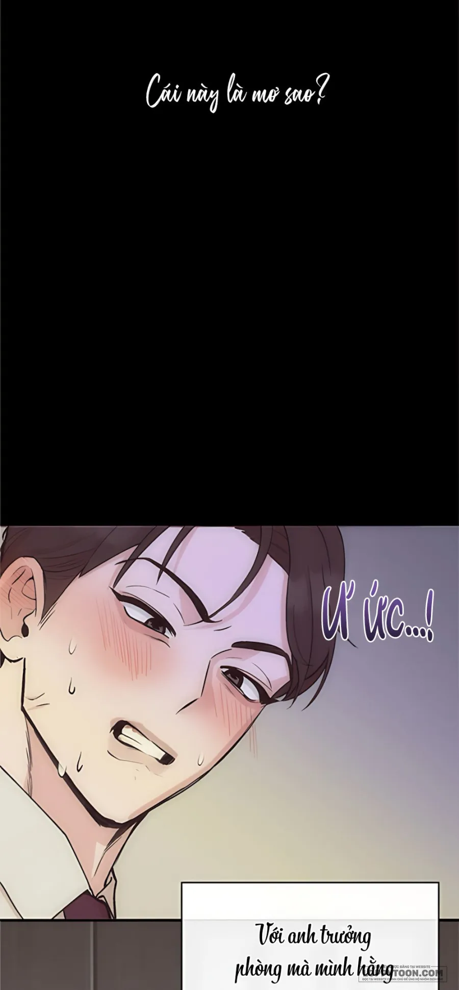 Nghiêm Cấm Chọc Ghẹo Sếp - Chap 1 - Trang 5