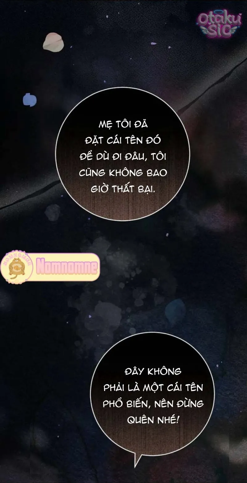 Người Chồng Bị Đánh Cắp - Chap 1 - Trang 95