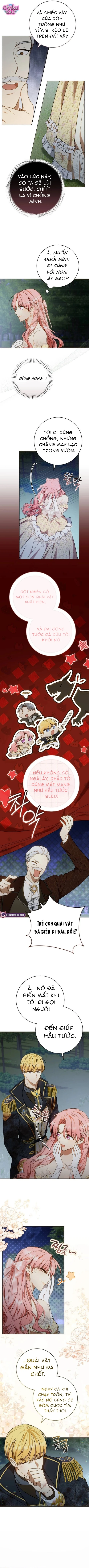 Người Chồng Bị Đánh Cắp - Chap 8 - Trang 2