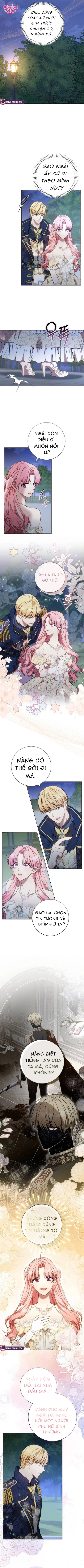 Người Chồng Bị Đánh Cắp - Chap 8 - Trang 4