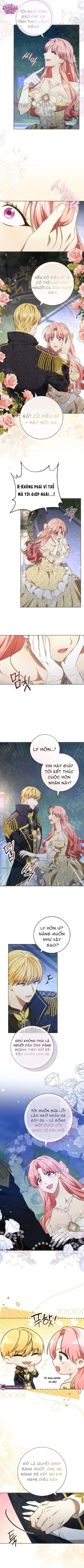 Người Chồng Bị Đánh Cắp - Chap 8 - Trang 5