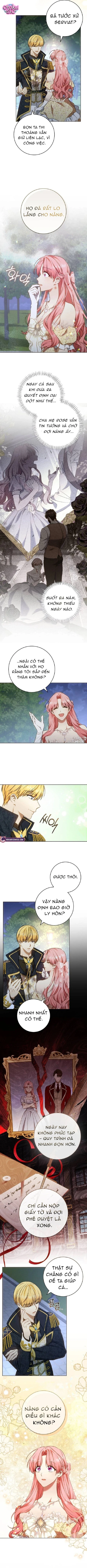 Người Chồng Bị Đánh Cắp - Chap 8 - Trang 6