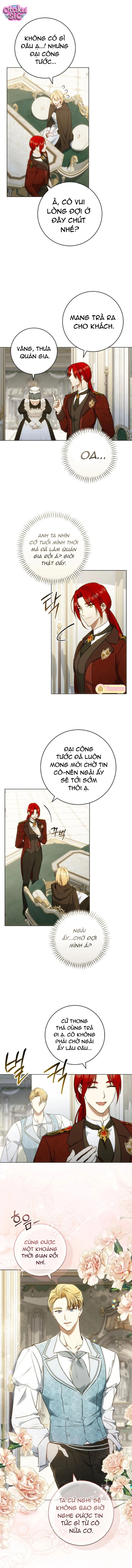 Người Chồng Bị Đánh Cắp - Chap 9 - Trang 5
