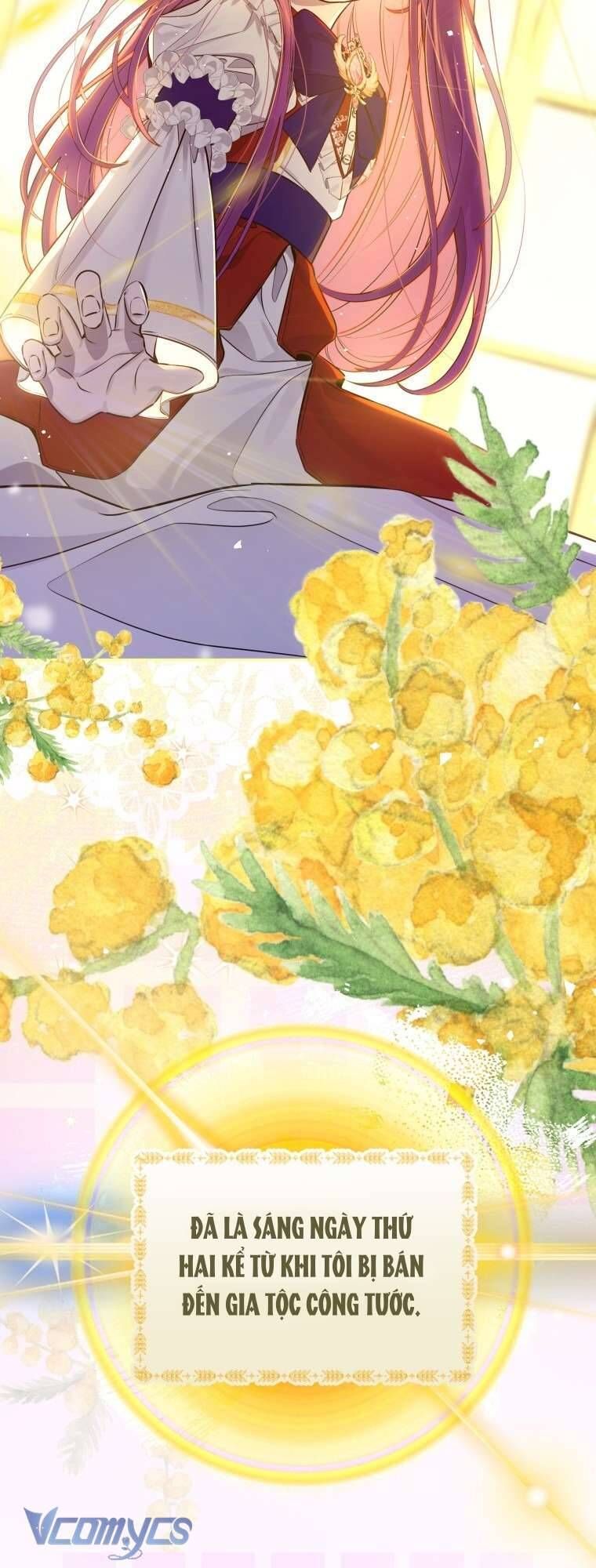 Người Vợ Hắc Ám Của Cậu Chồng Nhỏ - Chap 2 - Trang 3