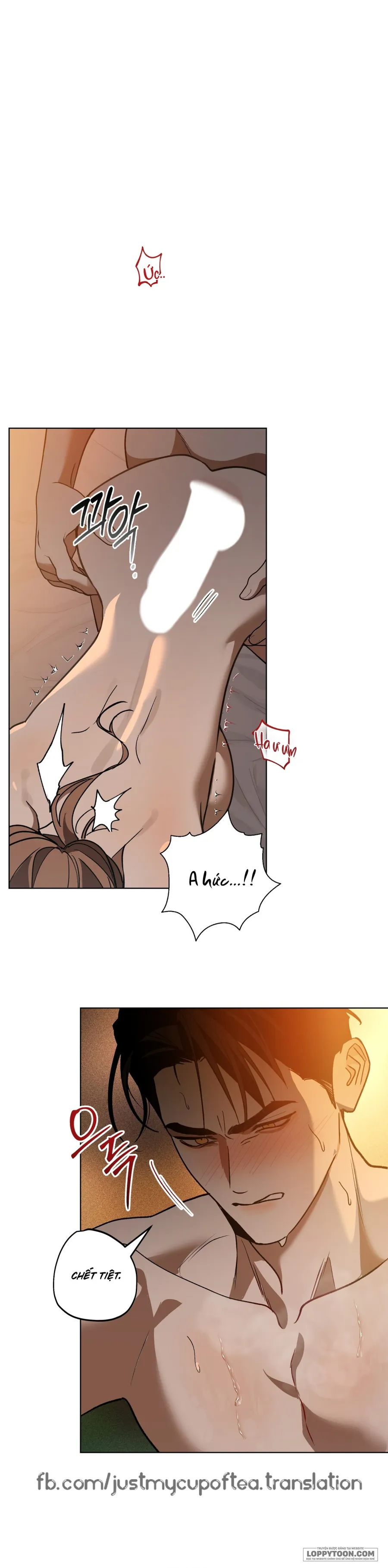Ngưỡng Tuyệt Đối - Chap 11 - Trang 2