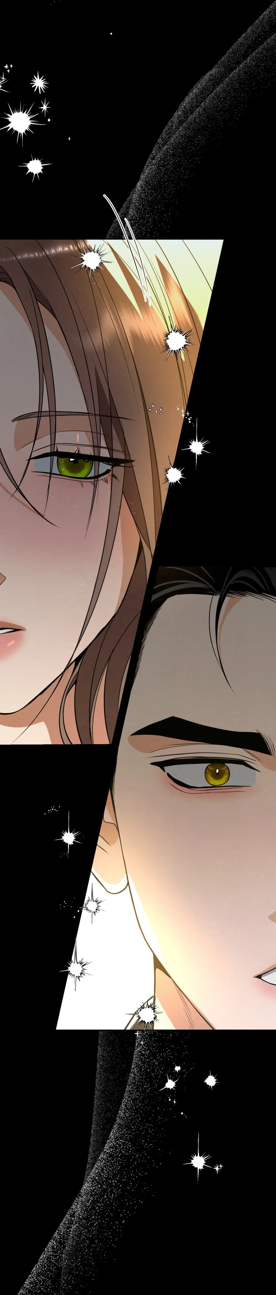 Ngưỡng Tuyệt Đối - Chap 73 - Trang 15