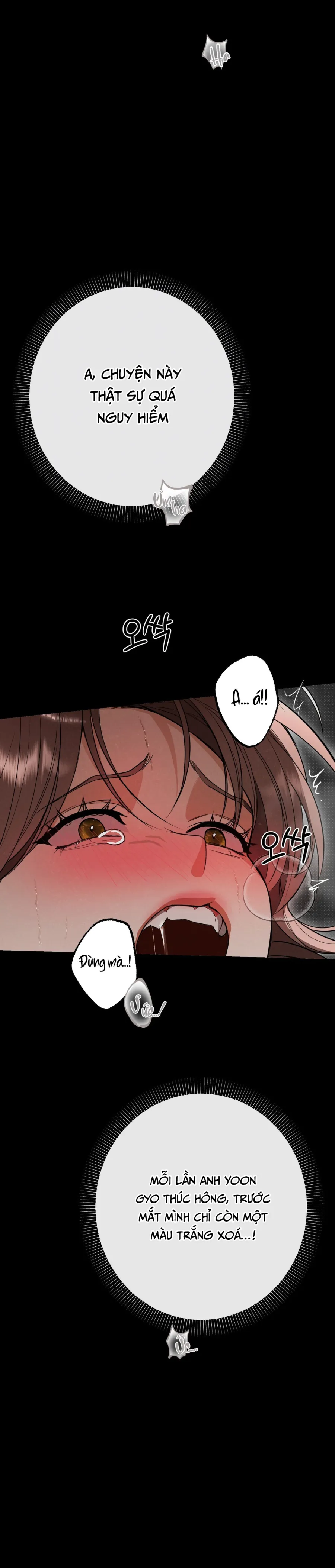 Ngưỡng Tuyệt Đối - Chap 78 - Trang 11