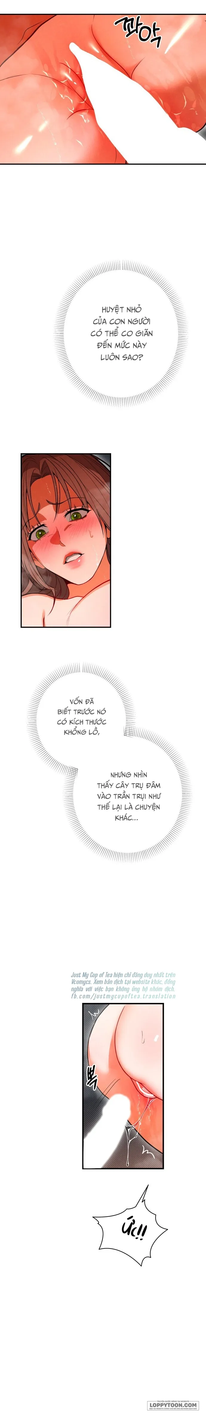 Ngưỡng Tuyệt Đối - Chap 79 - Trang 19
