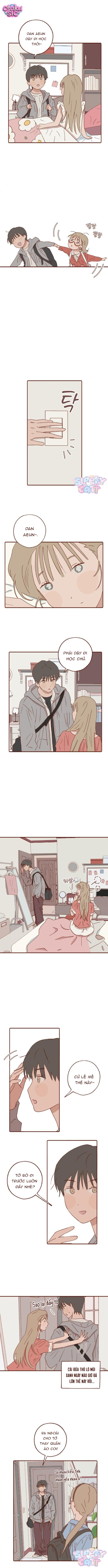 Nhật Kí Của Baba - Chap 9 - Trang 4