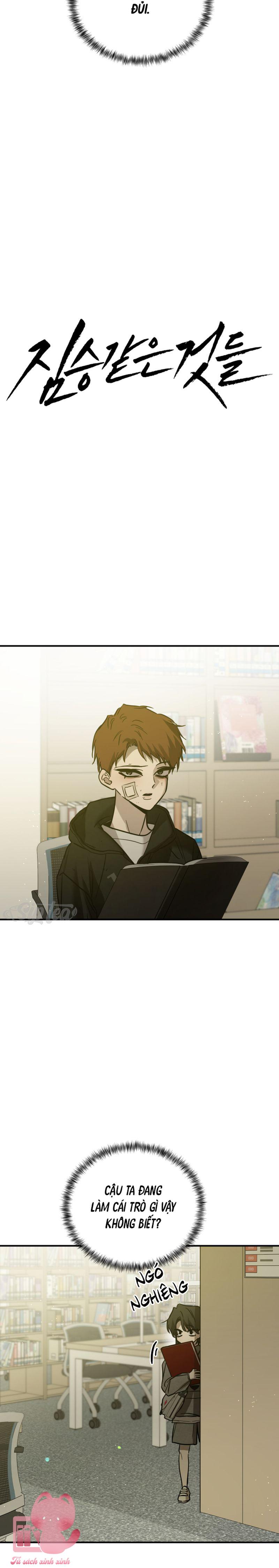 Những Kẻ Thú Tính - Chap 81 - Trang 7