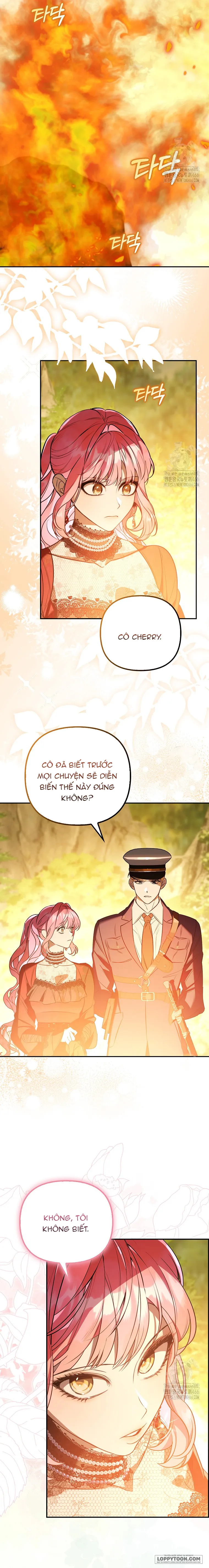 Những Nam Chính Bị Mắc Kẹt Trong Nhà Của Tôi - Chap 20 - Trang 11