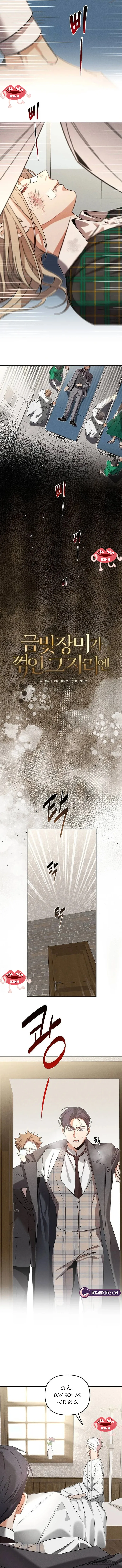 Nơi Đóa Hồng Vàng Úa Tàn - Chap 10 - Trang 3