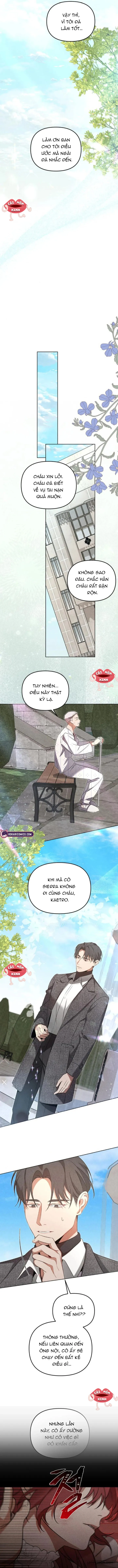 Nơi Đóa Hồng Vàng Úa Tàn - Chap 11 - Trang 13