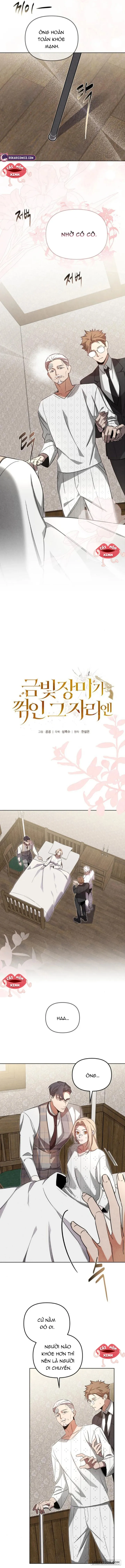 Nơi Đóa Hồng Vàng Úa Tàn - Chap 11 - Trang 3