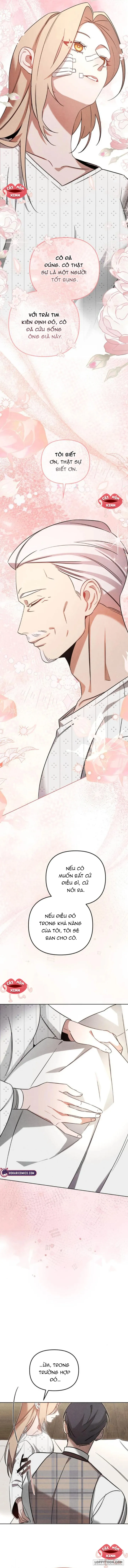 Nơi Đóa Hồng Vàng Úa Tàn - Chap 11 - Trang 5