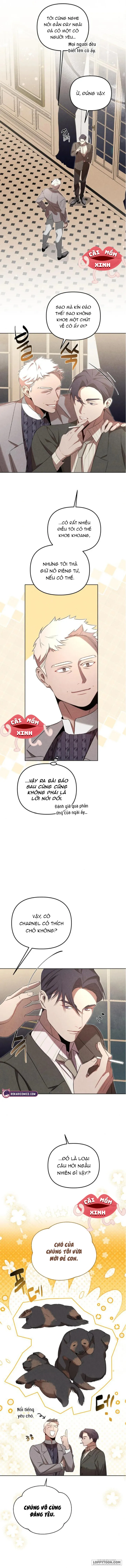 Nơi Đóa Hồng Vàng Úa Tàn - Chap 13 - Trang 10