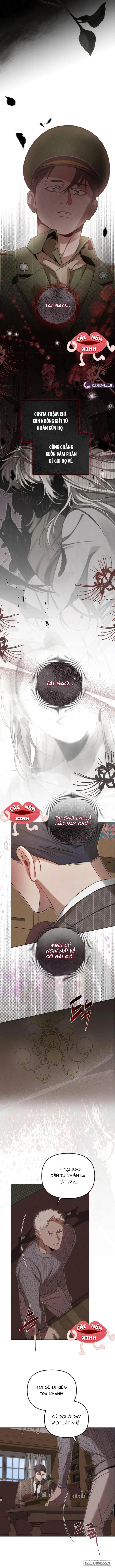 Nơi Đóa Hồng Vàng Úa Tàn - Chap 14 - Trang 13