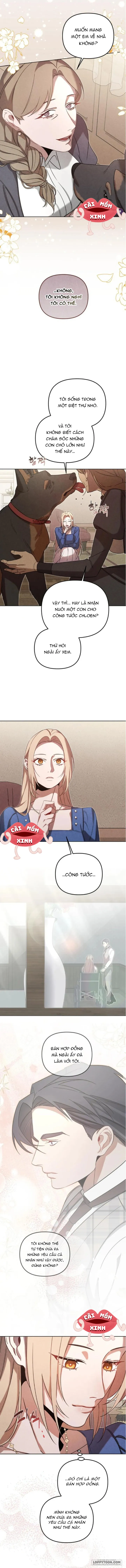 Nơi Đóa Hồng Vàng Úa Tàn - Chap 14 - Trang 9