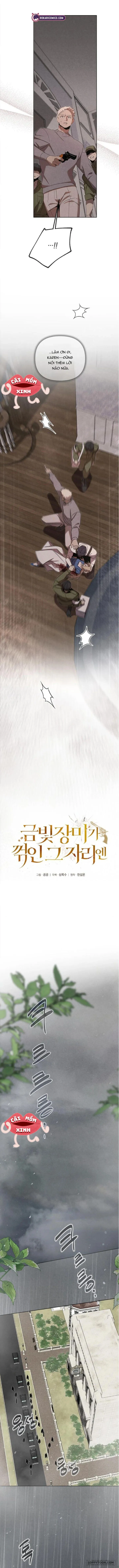 Nơi Đóa Hồng Vàng Úa Tàn - Chap 16 - Trang 3