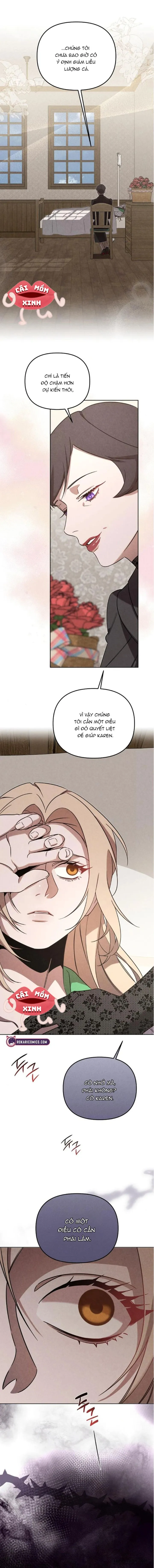 Nơi Đóa Hồng Vàng Úa Tàn - Chap 17 - Trang 1