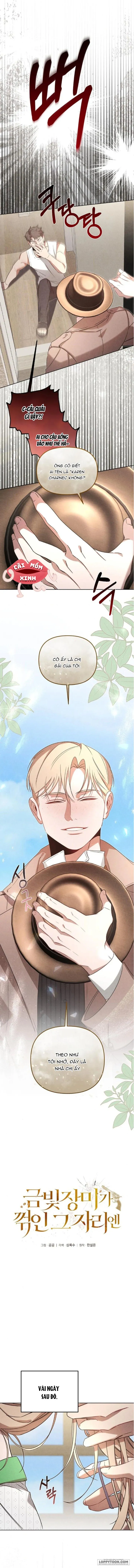 Nơi Đóa Hồng Vàng Úa Tàn - Chap 17 - Trang 3