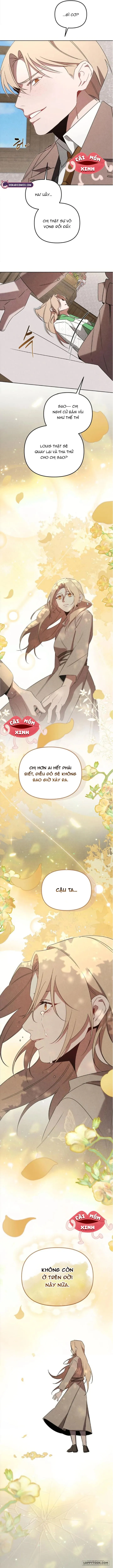 Nơi Đóa Hồng Vàng Úa Tàn - Chap 18 - Trang 11