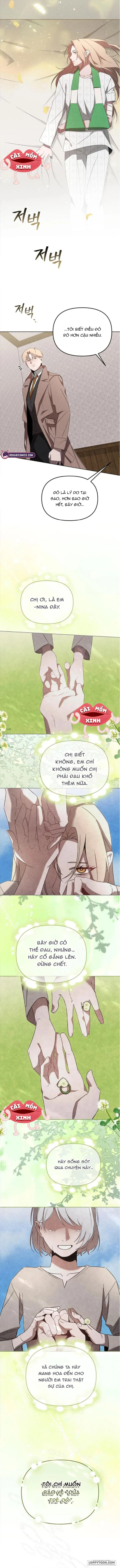 Nơi Đóa Hồng Vàng Úa Tàn - Chap 18 - Trang 12