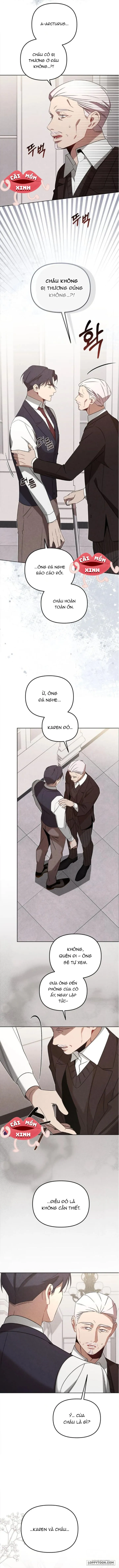 Nơi Đóa Hồng Vàng Úa Tàn - Chap 18 - Trang 3