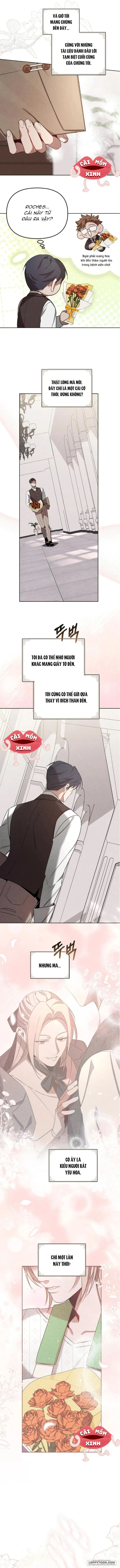 Nơi Đóa Hồng Vàng Úa Tàn - Chap 19 - Trang 4