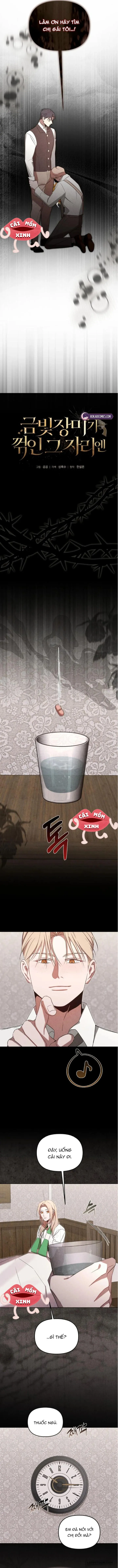 Nơi Đóa Hồng Vàng Úa Tàn - Chap 19 - Trang 7