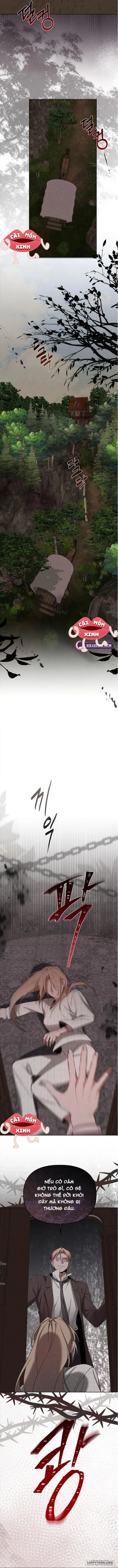 Nơi Đóa Hồng Vàng Úa Tàn - Chap 20 - Trang 2