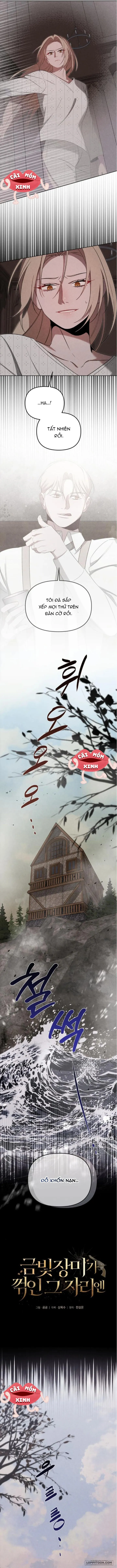 Nơi Đóa Hồng Vàng Úa Tàn - Chap 20 - Trang 4