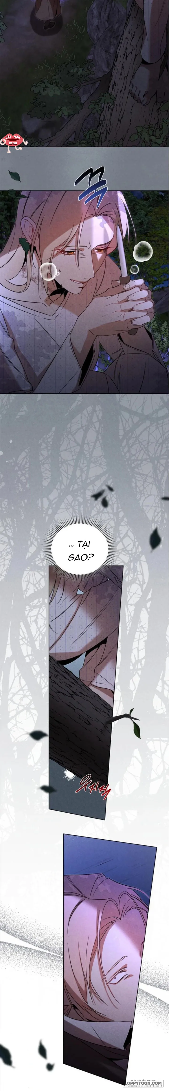 Nơi Đóa Hồng Vàng Úa Tàn - Chap 21 - Trang 24