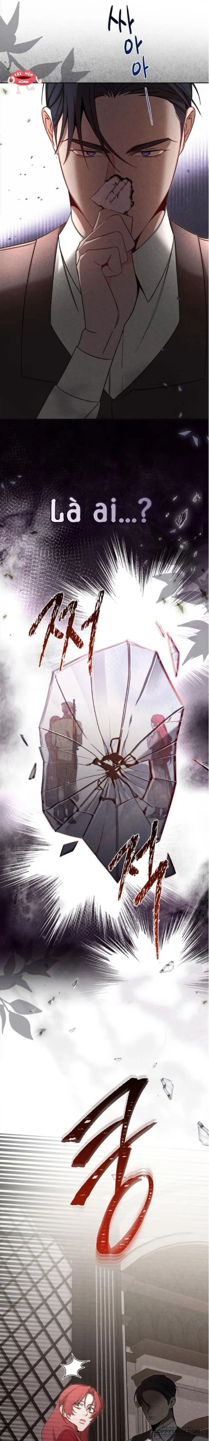 Nơi Đóa Hồng Vàng Úa Tàn - Chap 21 - Trang 7