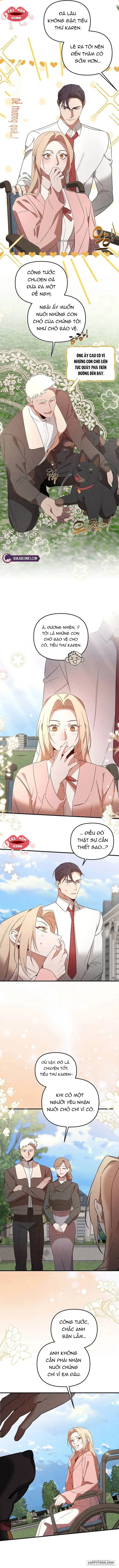 Nơi Đóa Hồng Vàng Úa Tàn - Chap 25 - Trang 2