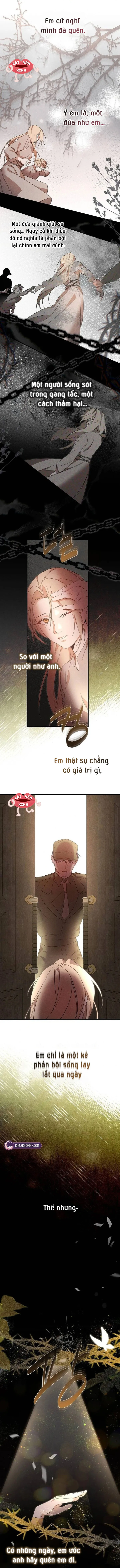 Nơi Đóa Hồng Vàng Úa Tàn - Chap 25 - Trang 12