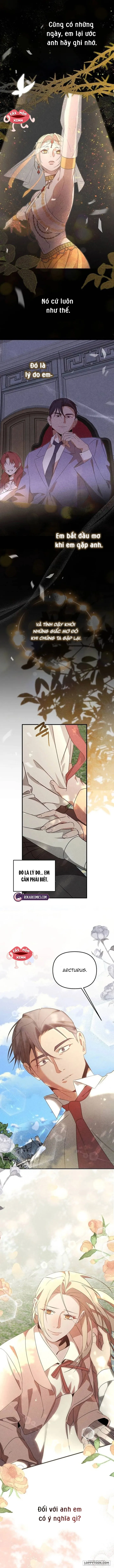 Nơi Đóa Hồng Vàng Úa Tàn - Chap 25 - Trang 13