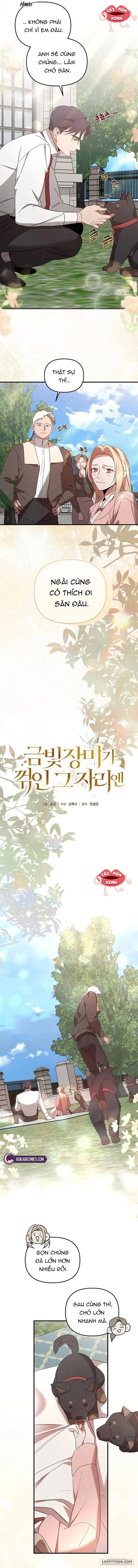 Nơi Đóa Hồng Vàng Úa Tàn - Chap 25 - Trang 3