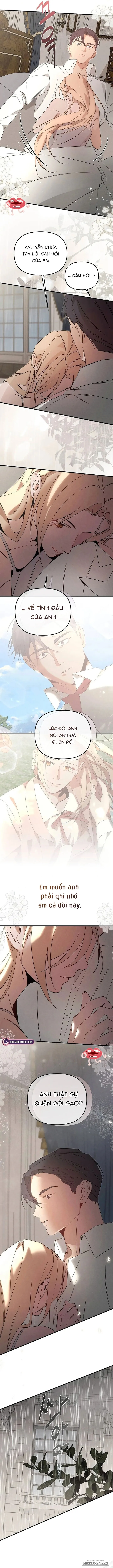 Nơi Đóa Hồng Vàng Úa Tàn - Chap 27 - Trang 11