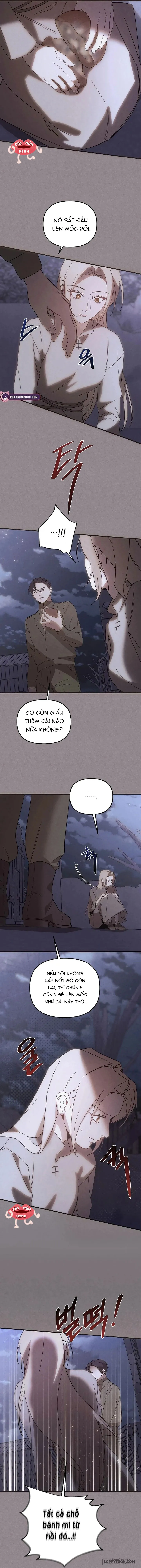 Nơi Đóa Hồng Vàng Úa Tàn - Chap 28 - Trang 8