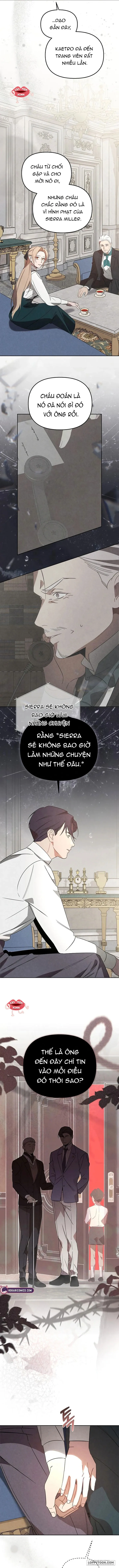 Nơi Đóa Hồng Vàng Úa Tàn - Chap 29 - Trang 8