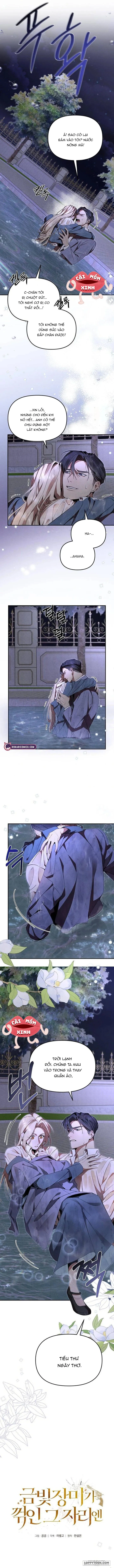 Nơi Đóa Hồng Vàng Úa Tàn - Chap 3 - Trang 8