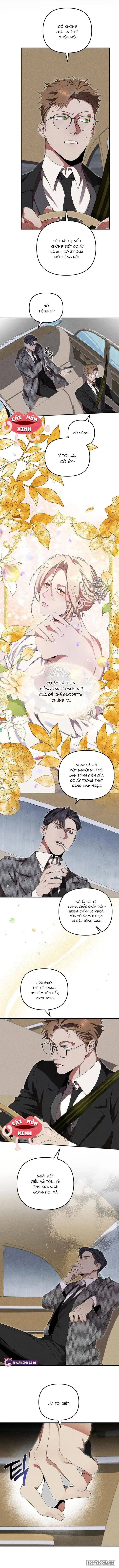 Nơi Đóa Hồng Vàng Úa Tàn - Chap 4 - Trang 8