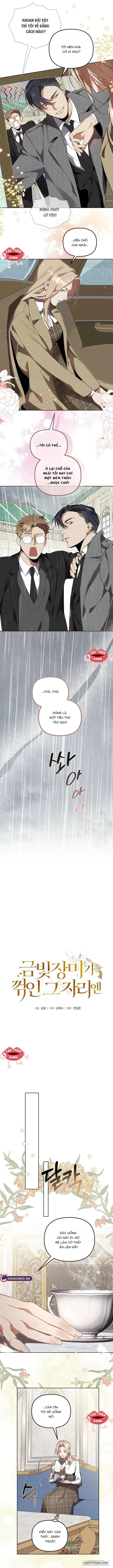 Nơi Đóa Hồng Vàng Úa Tàn - Chap 5 - Trang 5