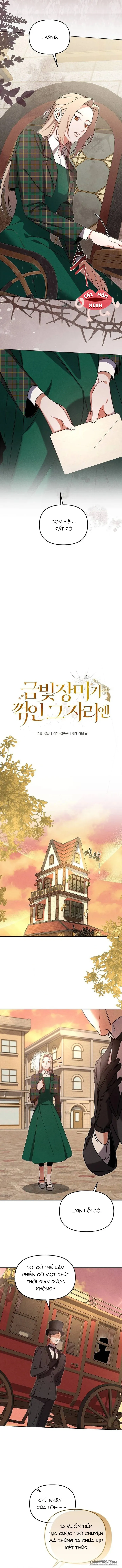 Nơi Đóa Hồng Vàng Úa Tàn - Chap 9 - Trang 3